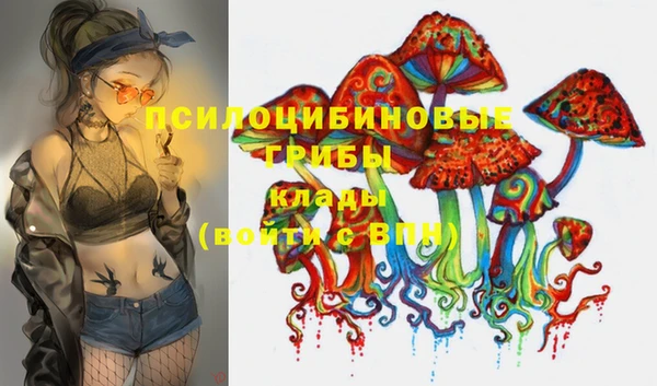 таблы Няндома