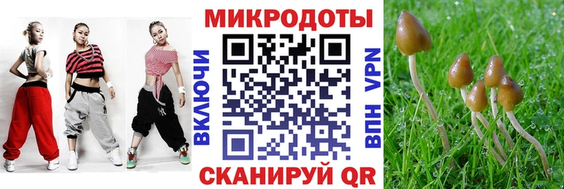 как найти закладки  Гай  Псилоцибиновые грибы прущие грибы 