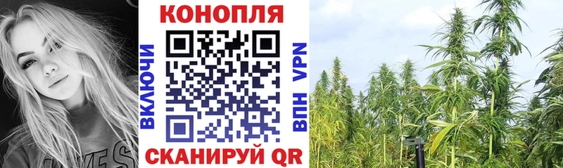 где продают Гай Бошки Шишки гибрид